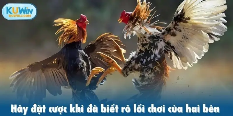 Hãy đặt cược khi đã biết rõ lối chơi của hai bên