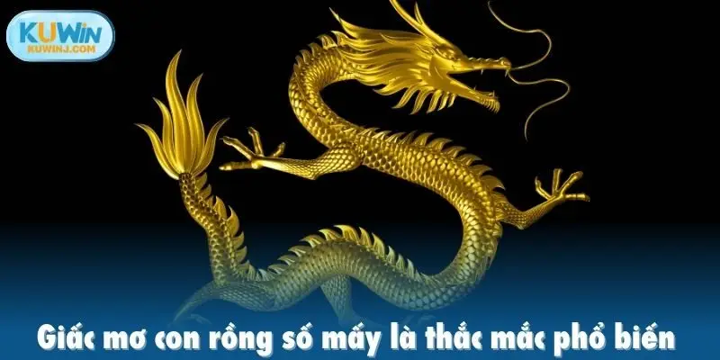 Giấc mơ con rồng số mấy là thắc mắc phổ biến
